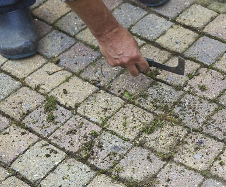 Trädgårdsskötsel i Lund - Boka din service idag